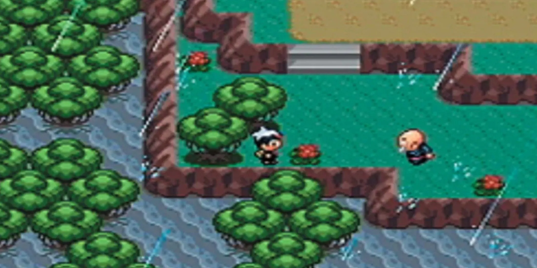 Gameplay Pokémon Rubis
