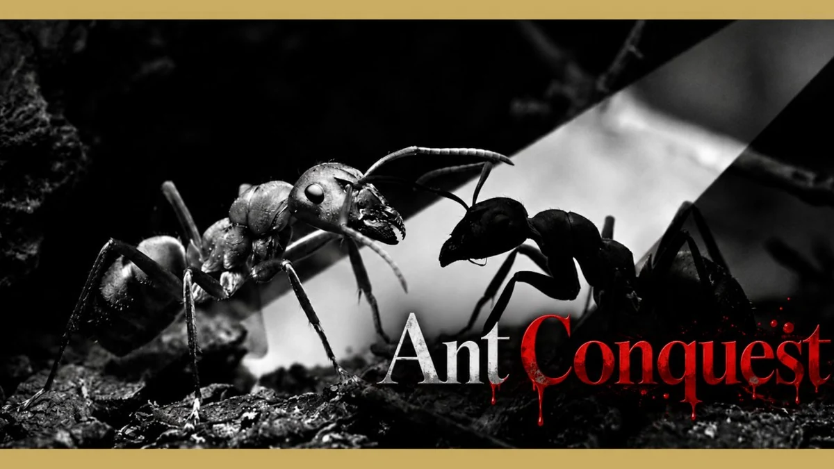 Illustration officielle d AntConquest, jeu de stratégie multijoueur gratuit par navigateur