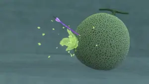 Le guide complet pour toucher les 12 cibles secrètes du tir à l&rsquo;arc dans Nintendo Switch Sports Resort