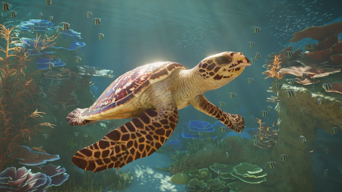 Tortue imbriquée dans un aquarium géant sur Planet Zoo 2